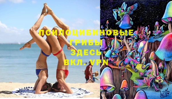наркотики Алексин
