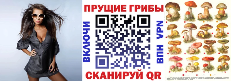blacksprut зеркало Шахты Псилоцибиновые грибы GOLDEN TEACHER